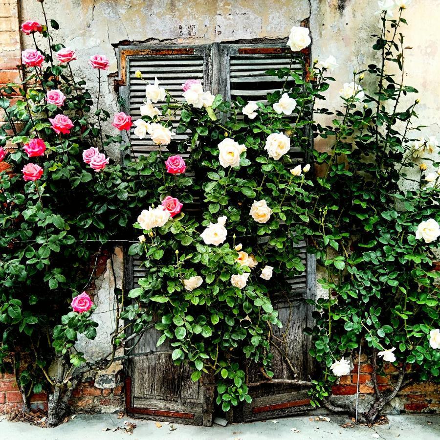 Teresa Al Belvedere Rooms&Holidayapartments Camere&Appartamenti Castellinaldo Eksteriør billede
