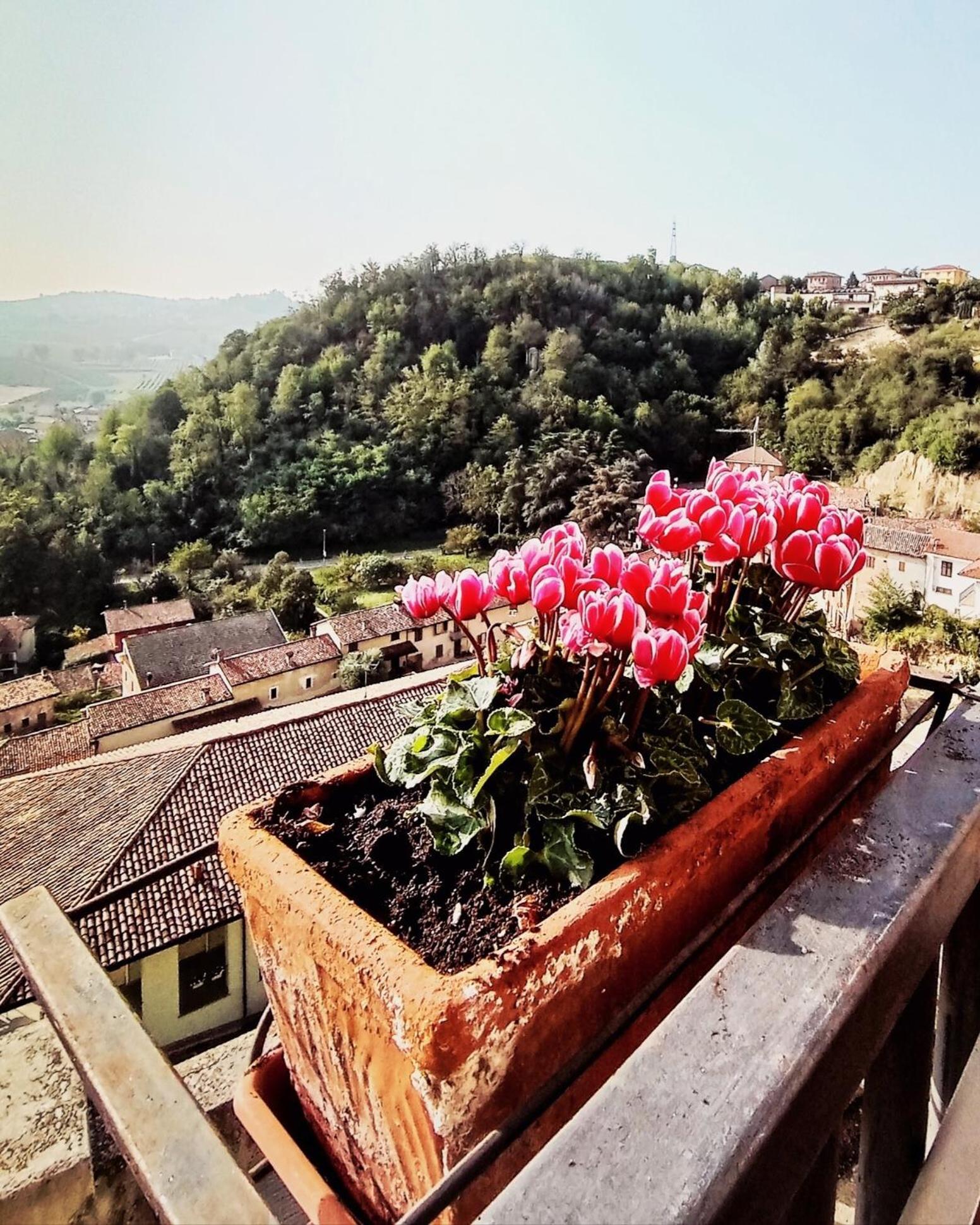 Teresa Al Belvedere Rooms&Holidayapartments Camere&Appartamenti Castellinaldo Eksteriør billede